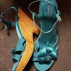 Teal- turquoise wedges